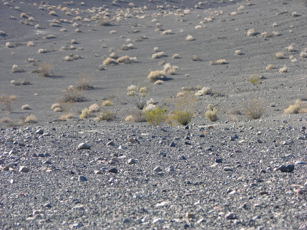dscn2310.jpg