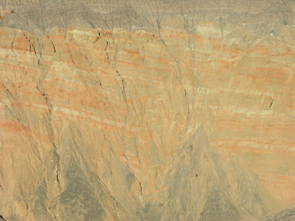 dscn2317.jpg