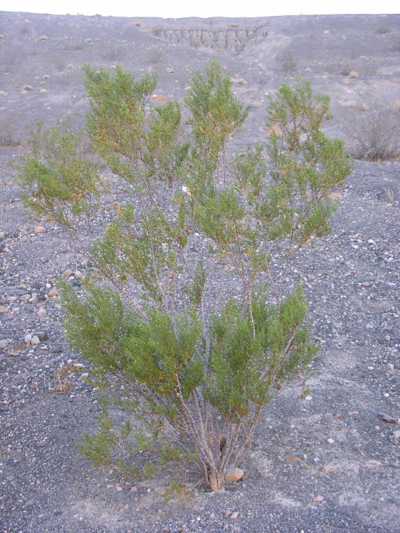 dscn2325.jpg