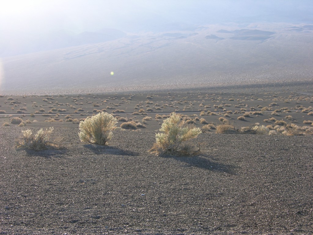 dscn2331.jpg