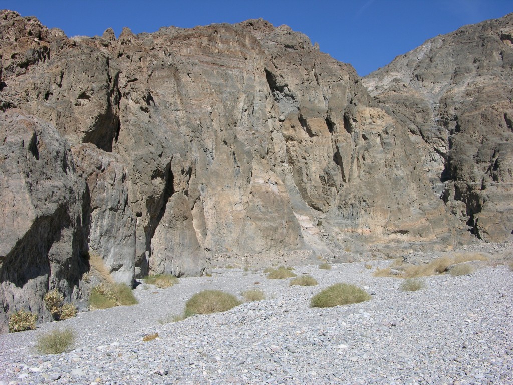 dscn2337.jpg