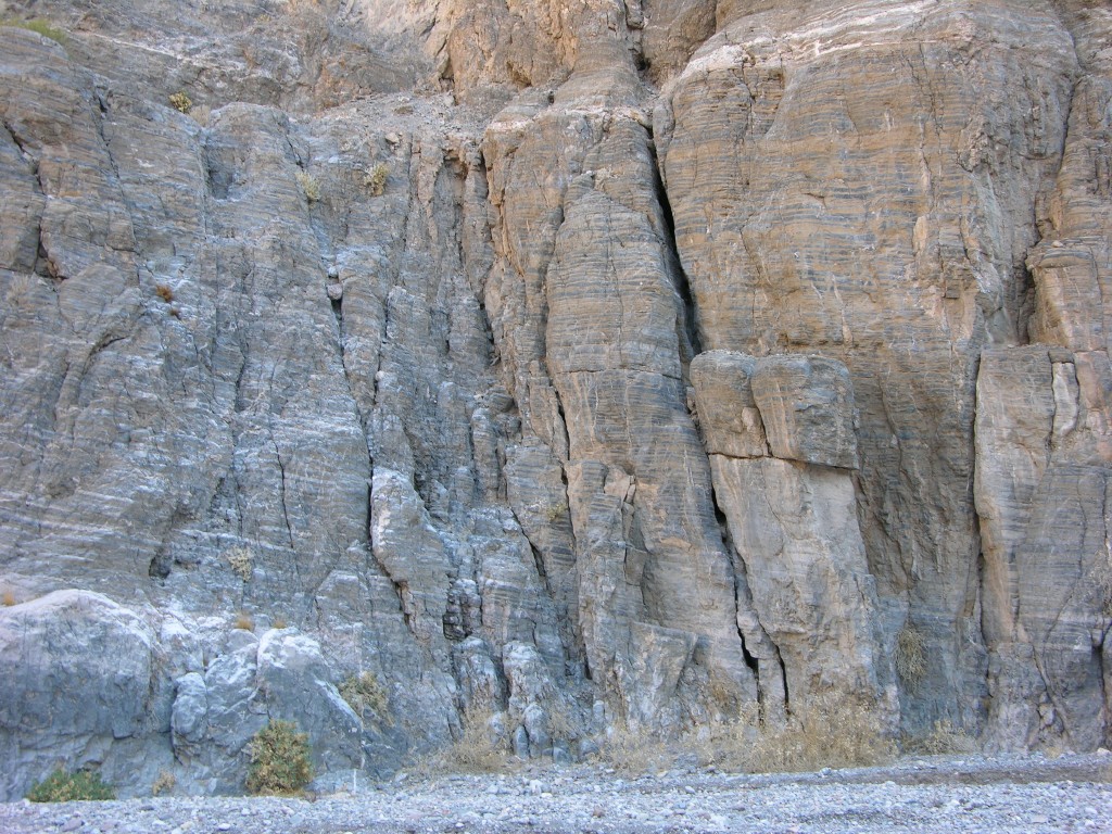 dscn2340.jpg
