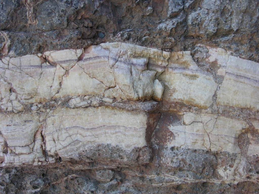dscn2343.jpg