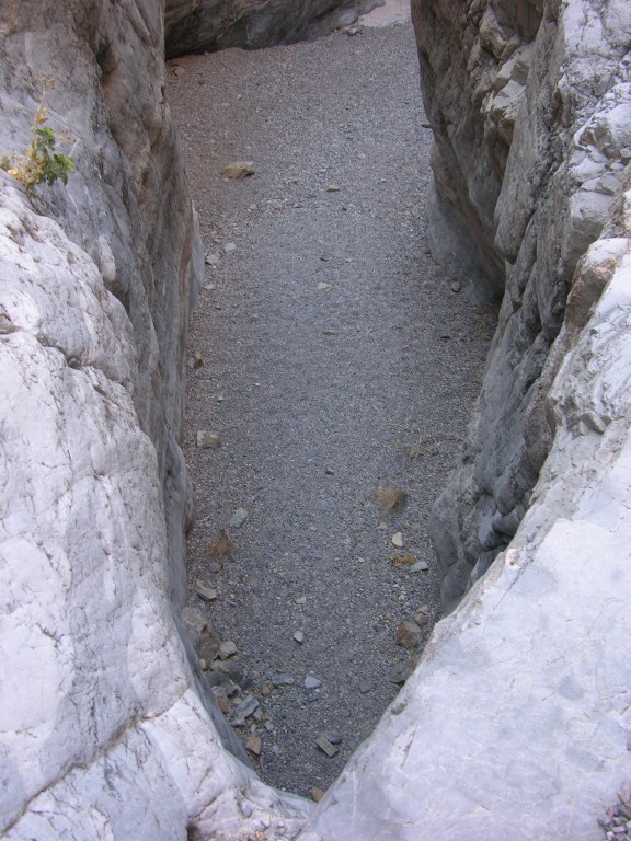 dscn2349.jpg