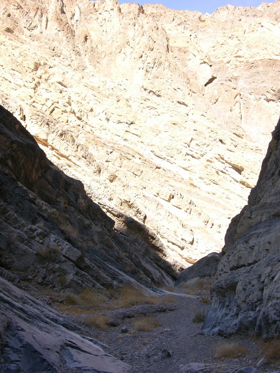 dscn2354.jpg