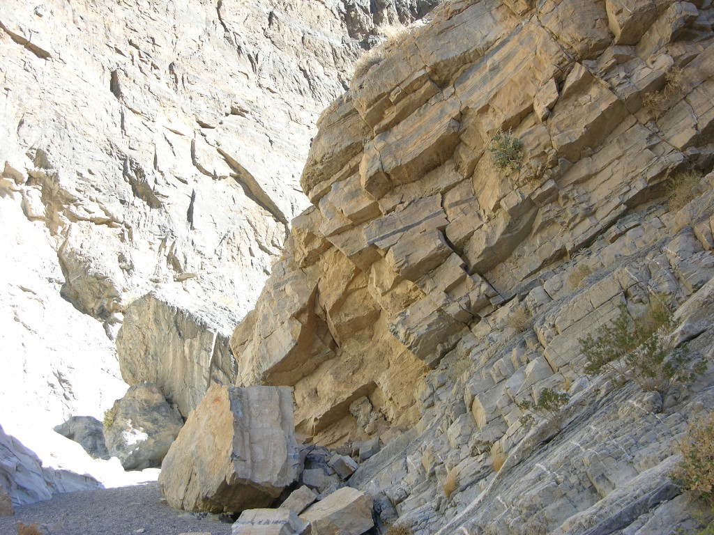 dscn2355.jpg