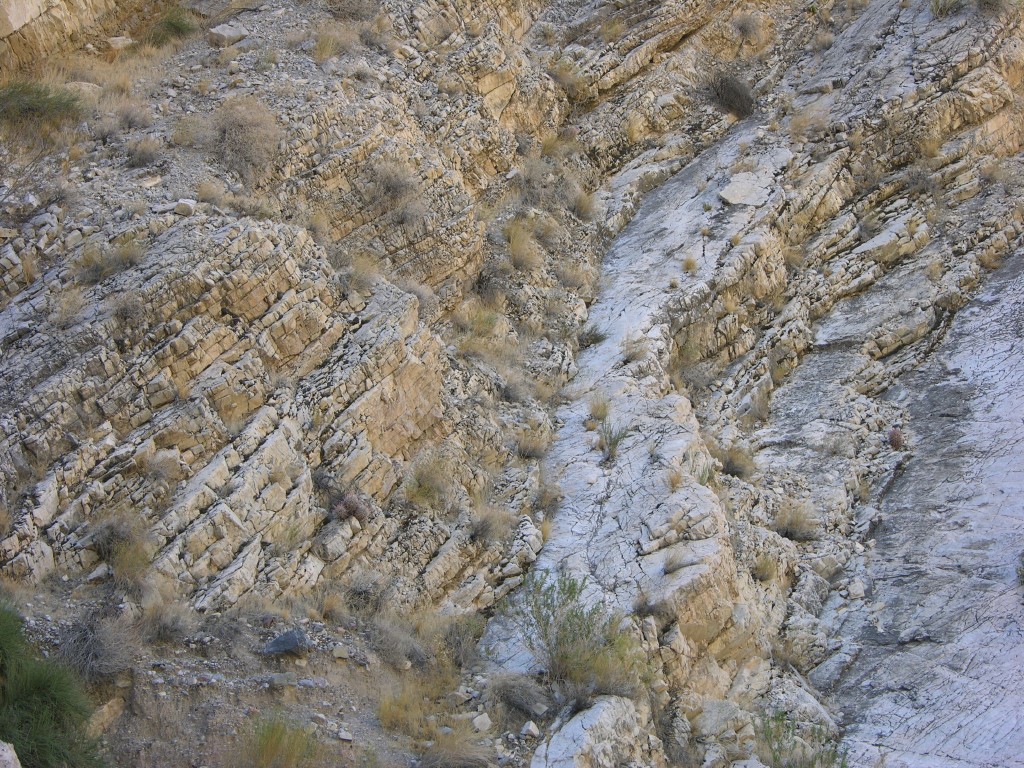 dscn2359.jpg