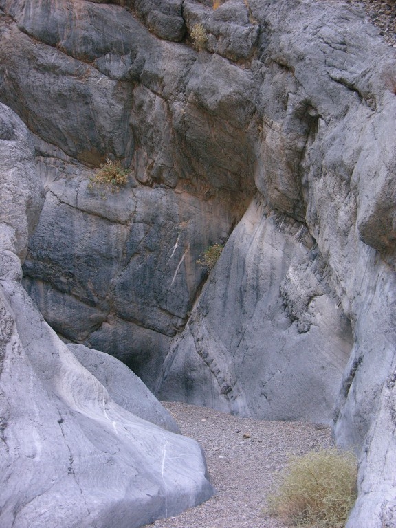 dscn2361.jpg