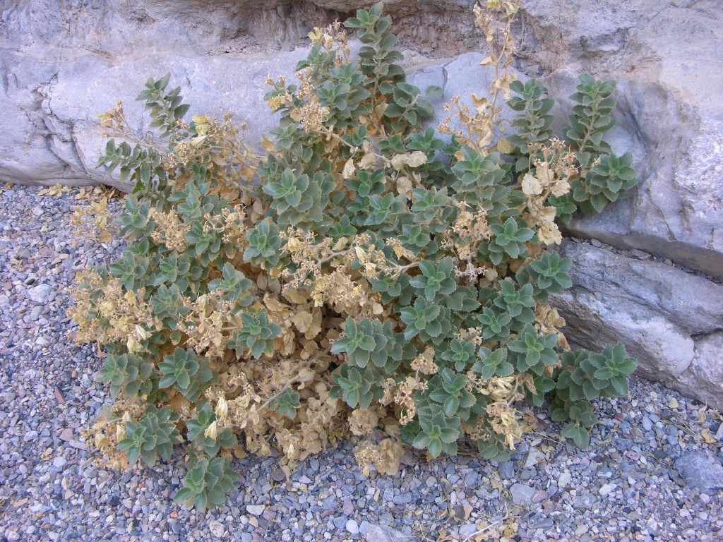 dscn2364.jpg