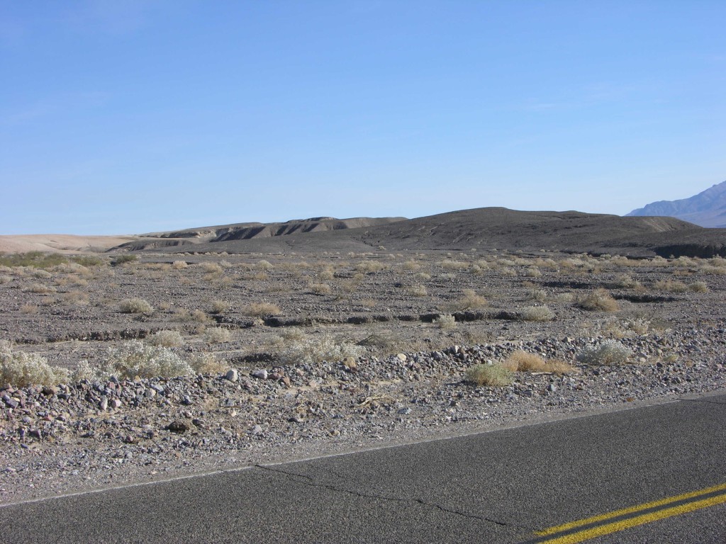 dscn2367.jpg