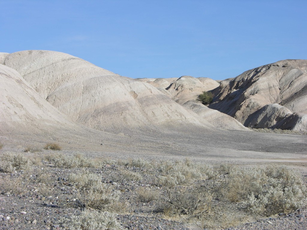 dscn2368.jpg