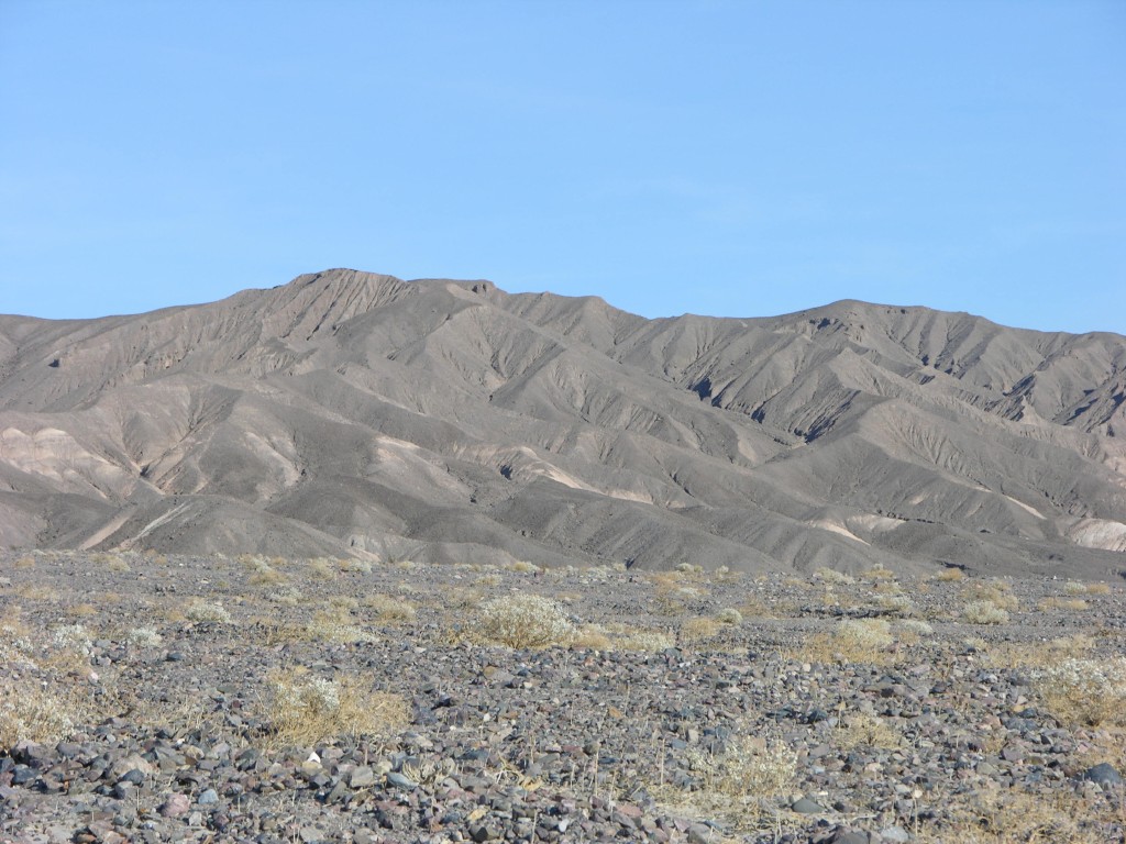 dscn2369.jpg
