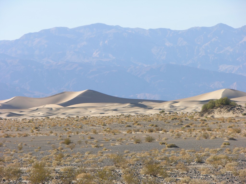 dscn2370.jpg