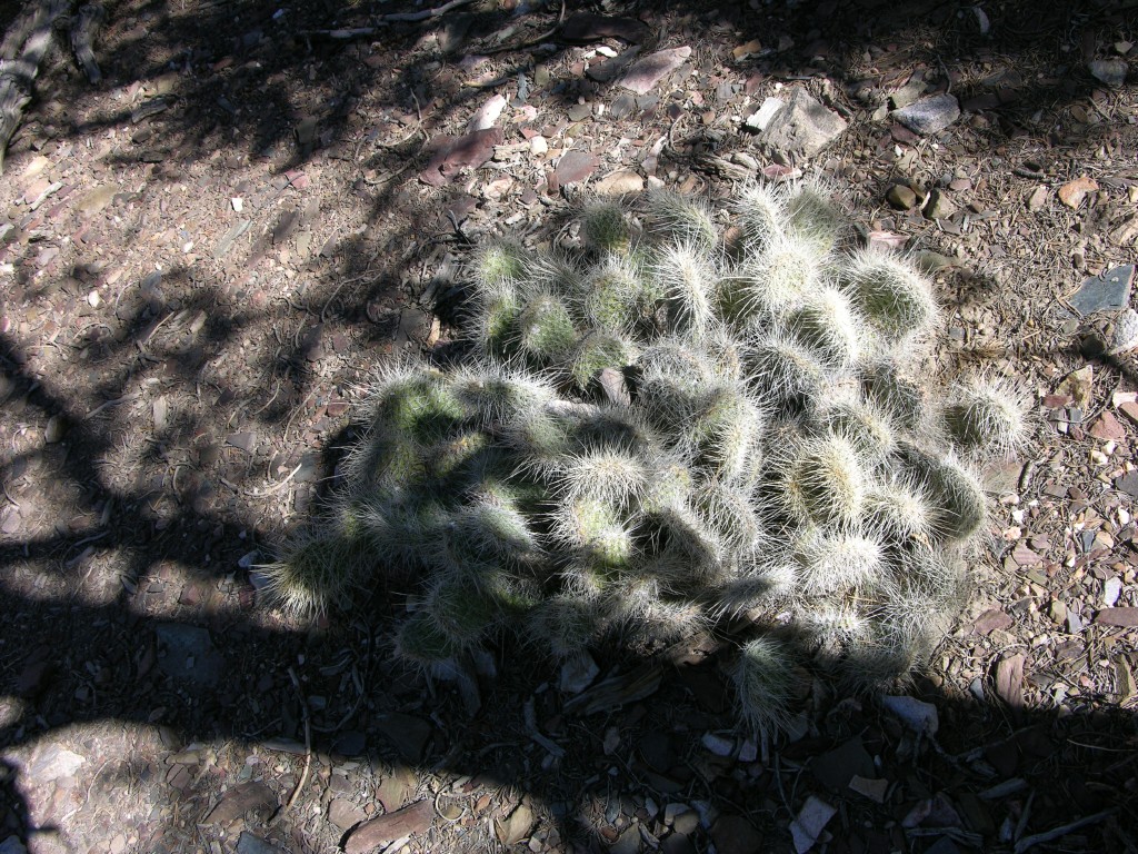 dscn2376.jpg