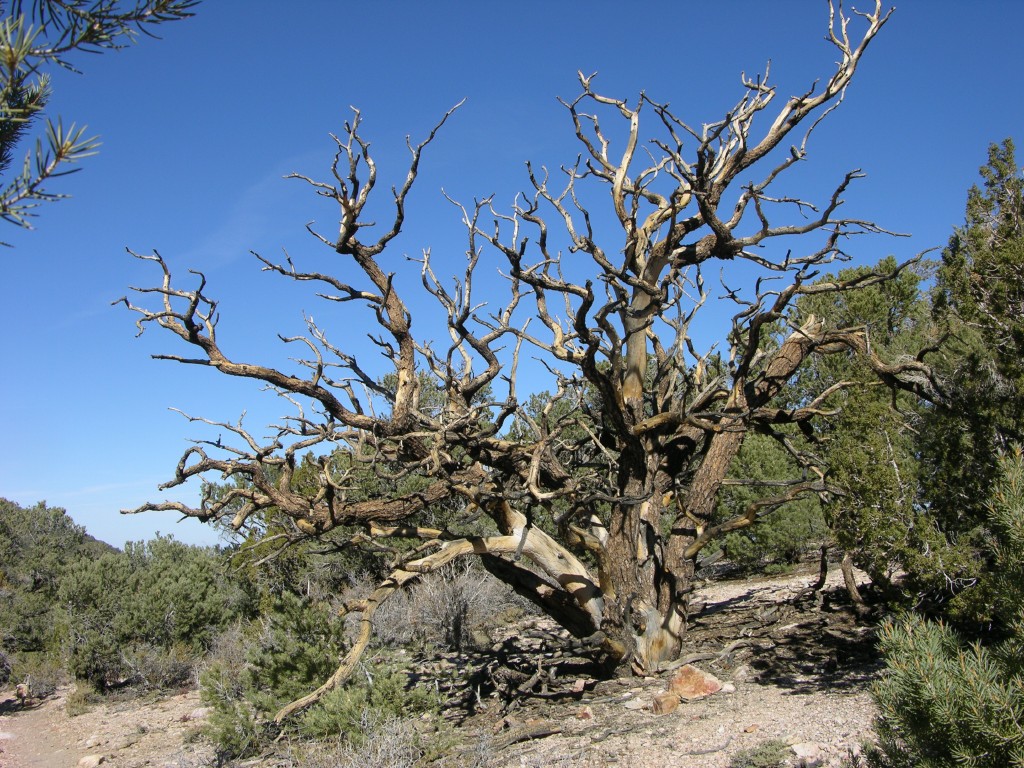 dscn2378.jpg