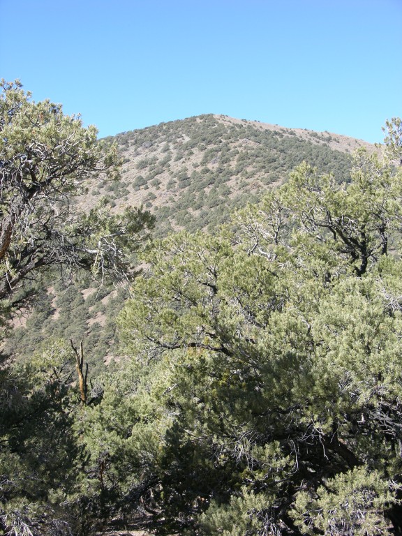 dscn2379.jpg
