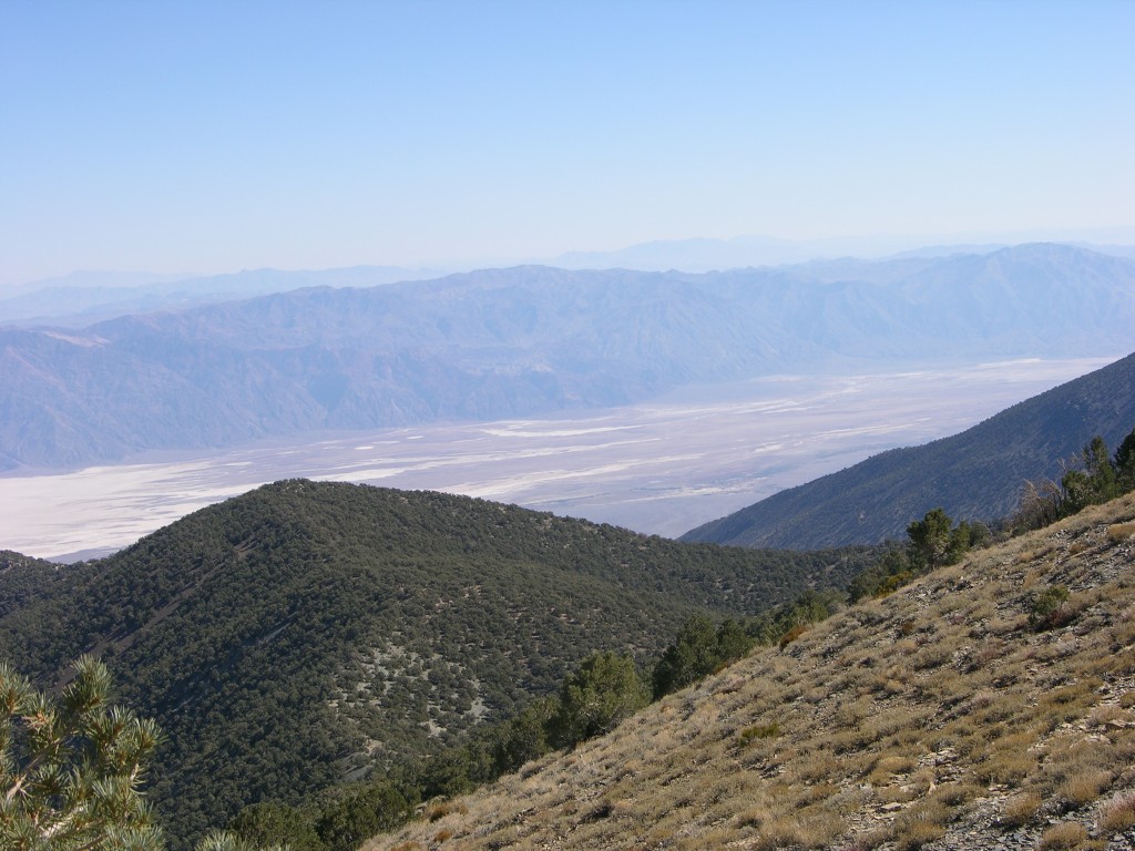 dscn2381.jpg