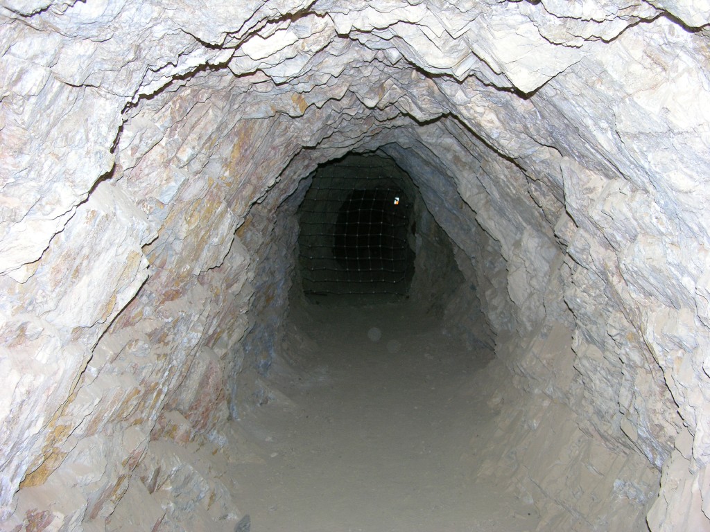 dscn2389.jpg