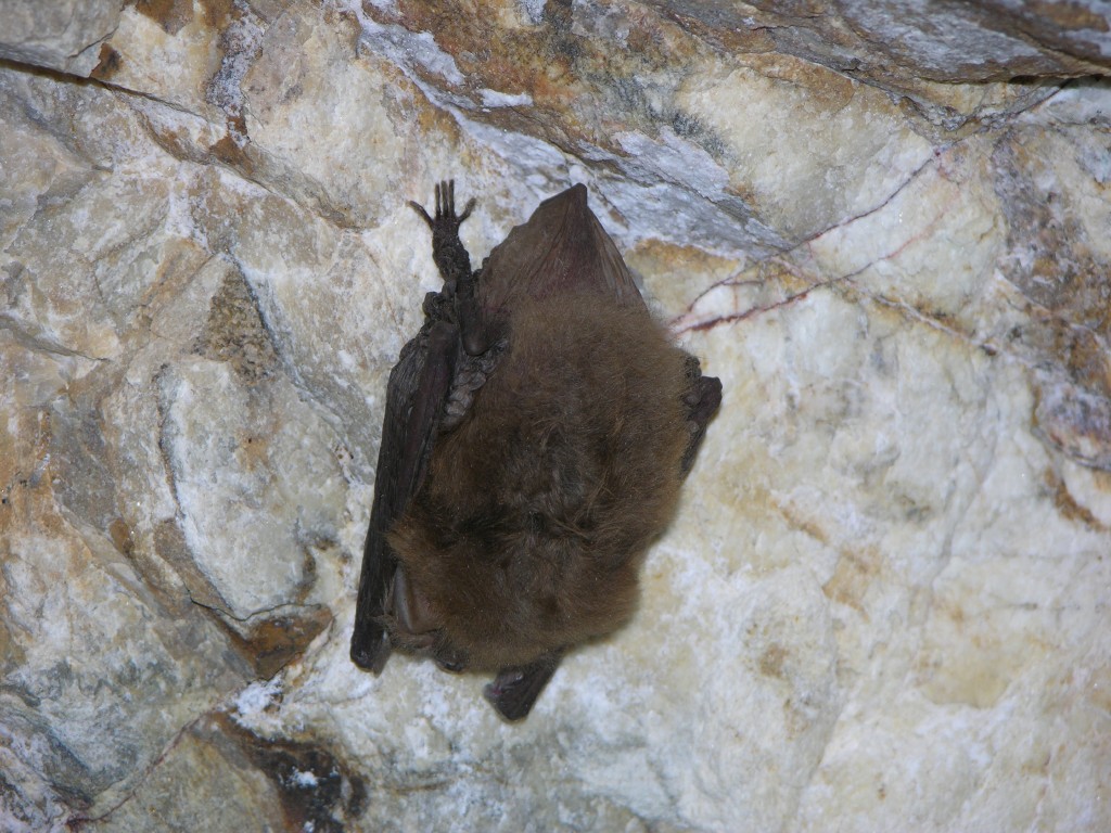 dscn2393.jpg