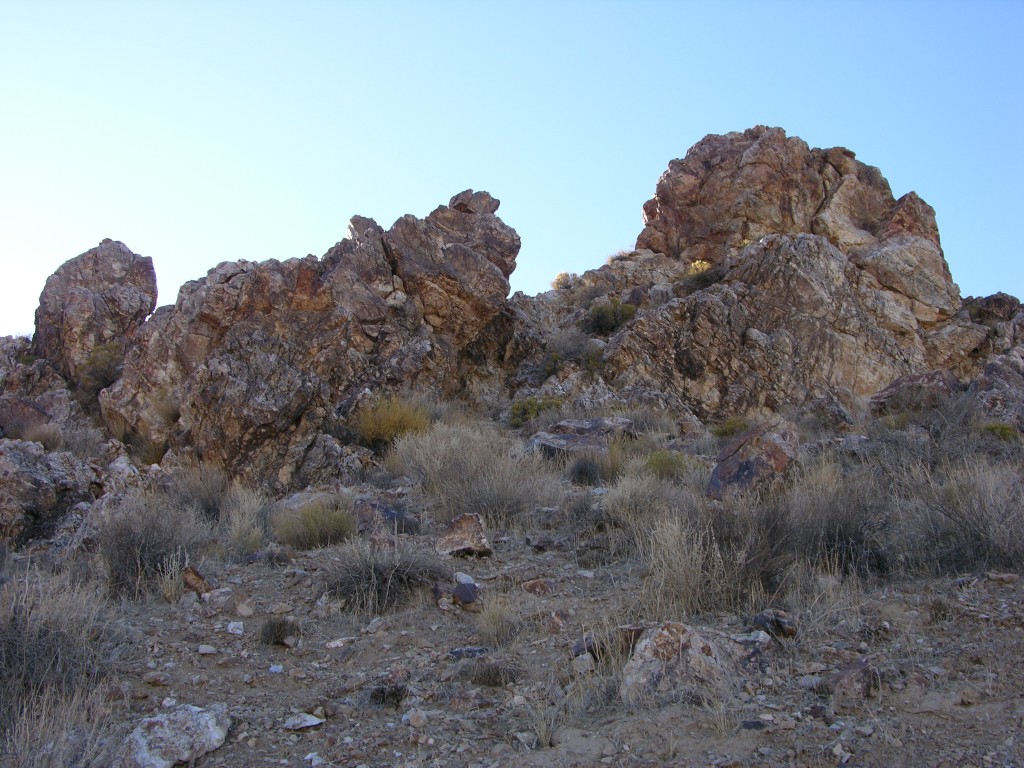 dscn2397.jpg