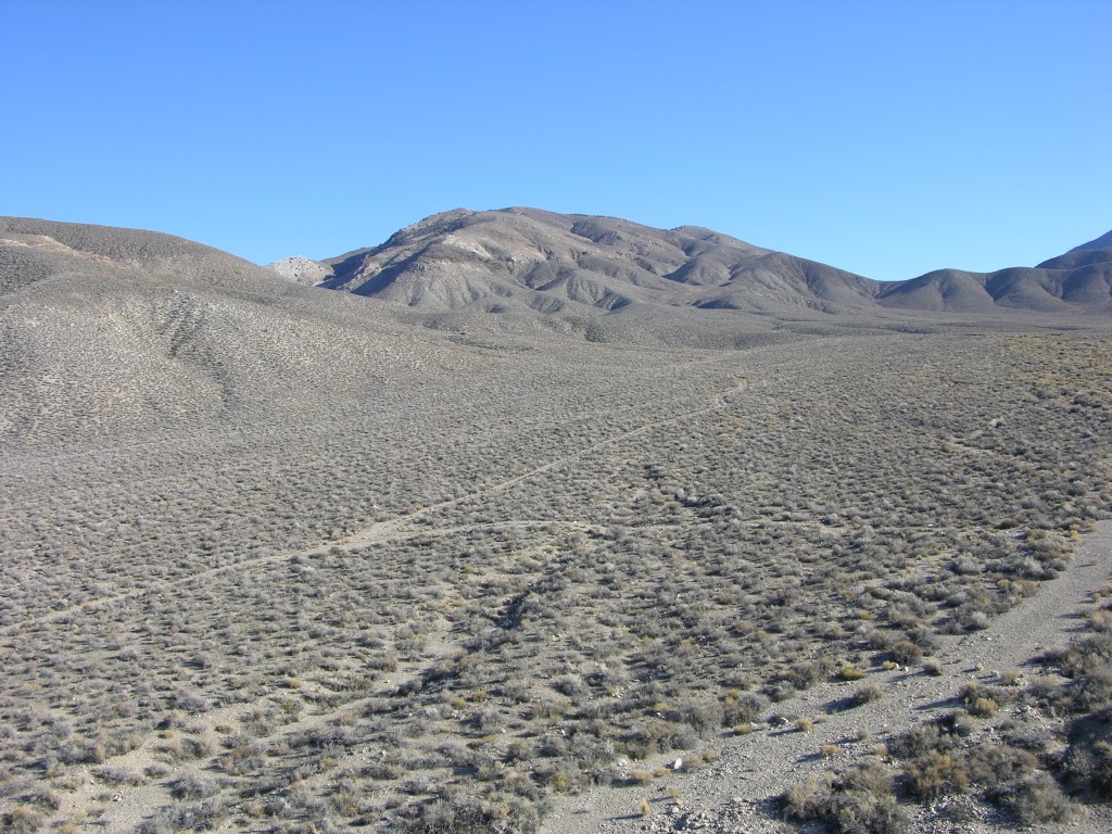 dscn2398.jpg