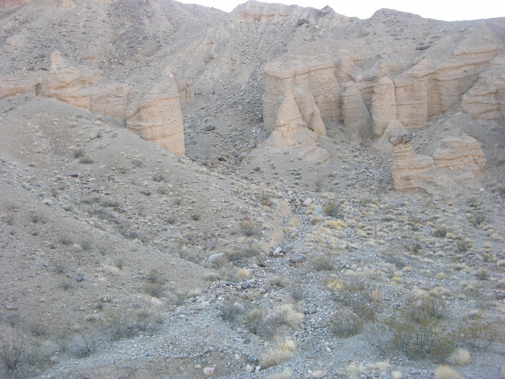 dscn2411.jpg