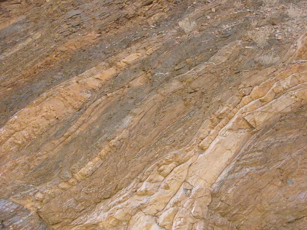 dscn2430.jpg