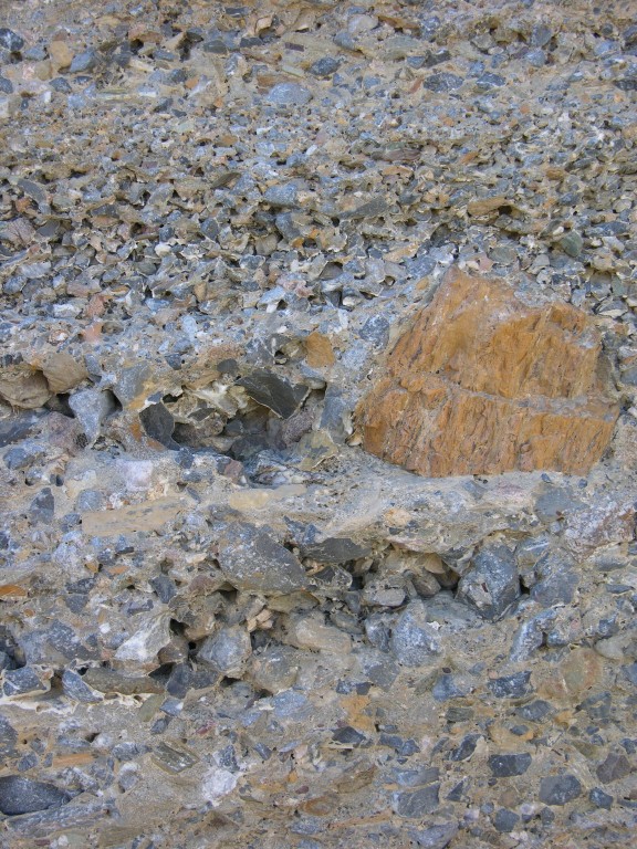 dscn2446.jpg