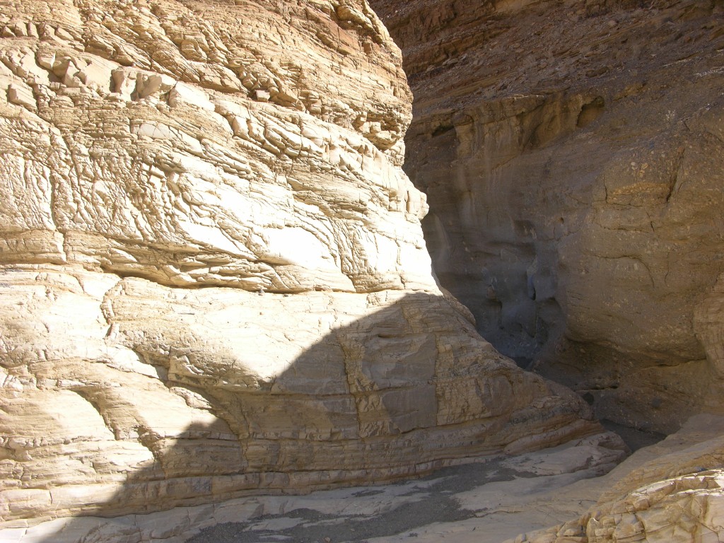 dscn2447.jpg