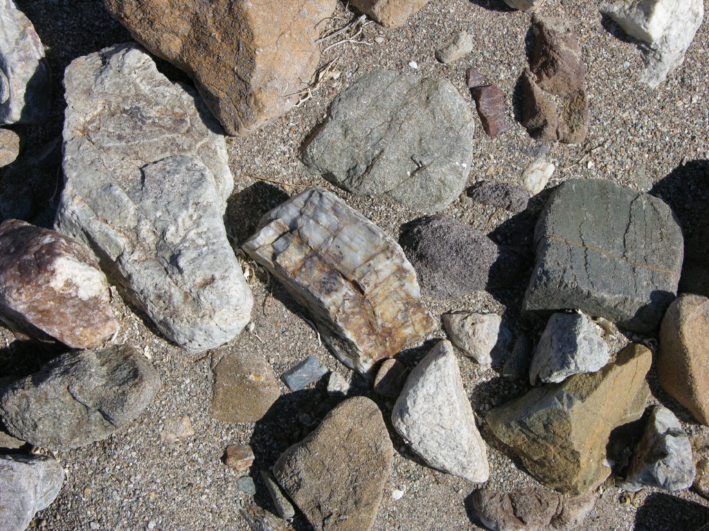 dscn2457.jpg