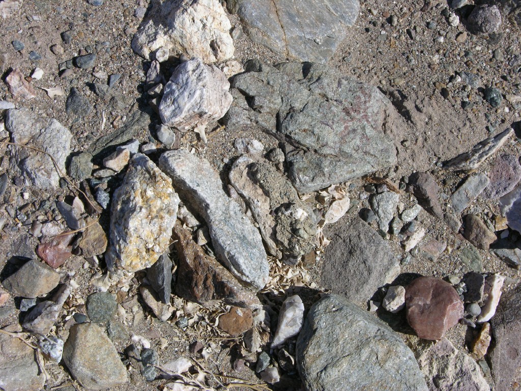 dscn2458.jpg