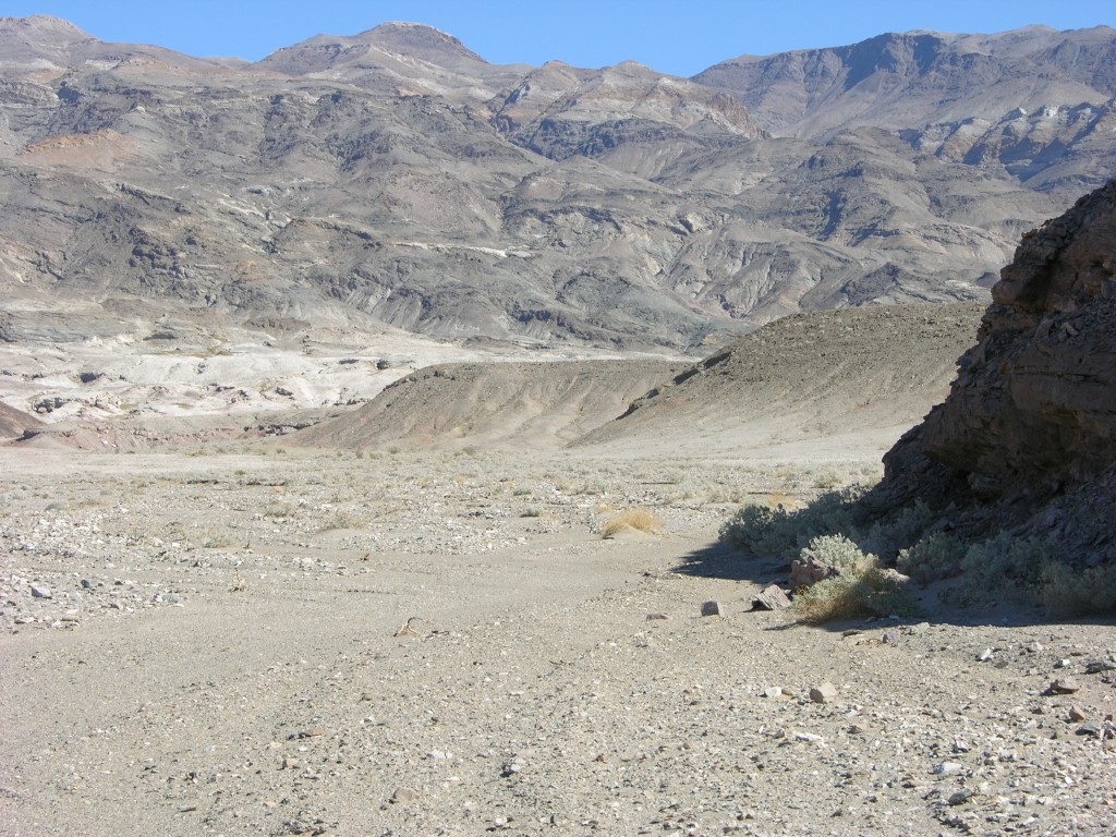 dscn2459.jpg
