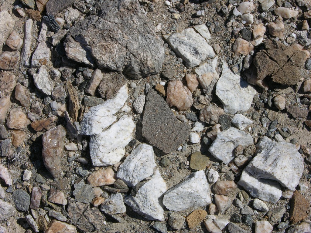 dscn2460.jpg