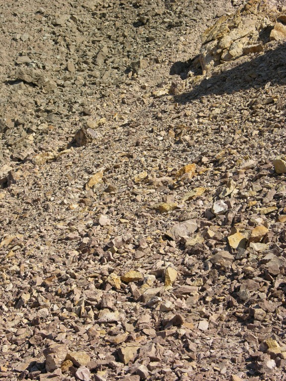 dscn2463.jpg