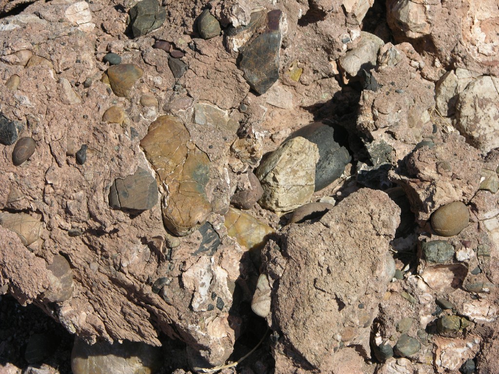 dscn2467.jpg