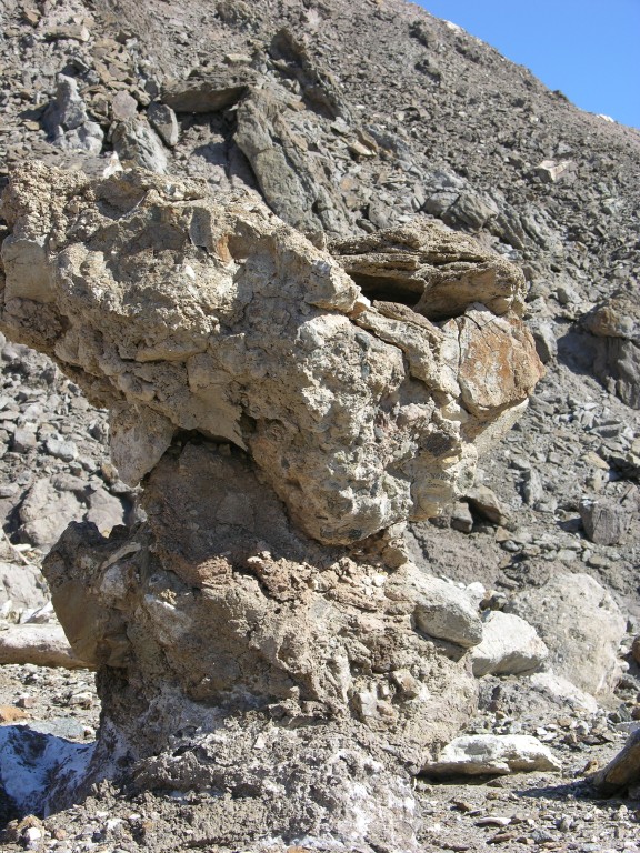 dscn2471.jpg