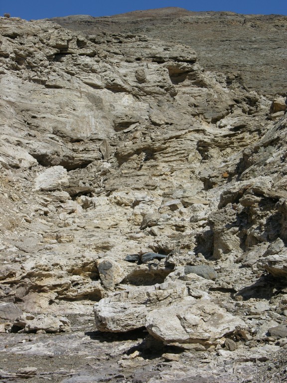 dscn2478.jpg
