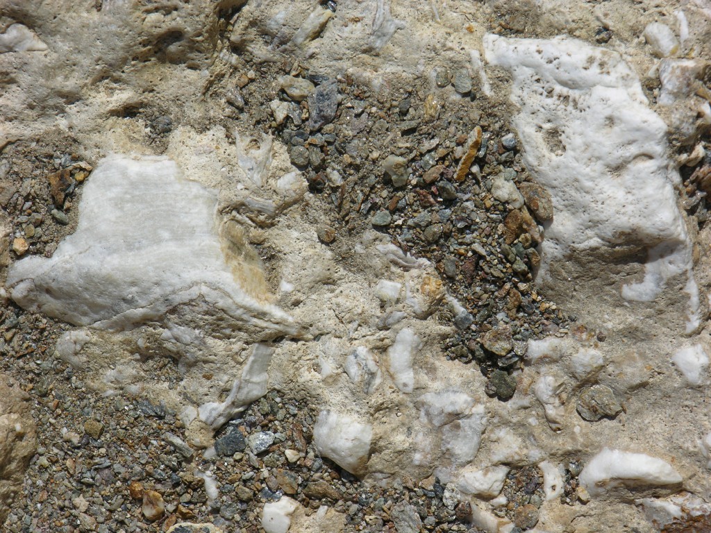 dscn2479.jpg