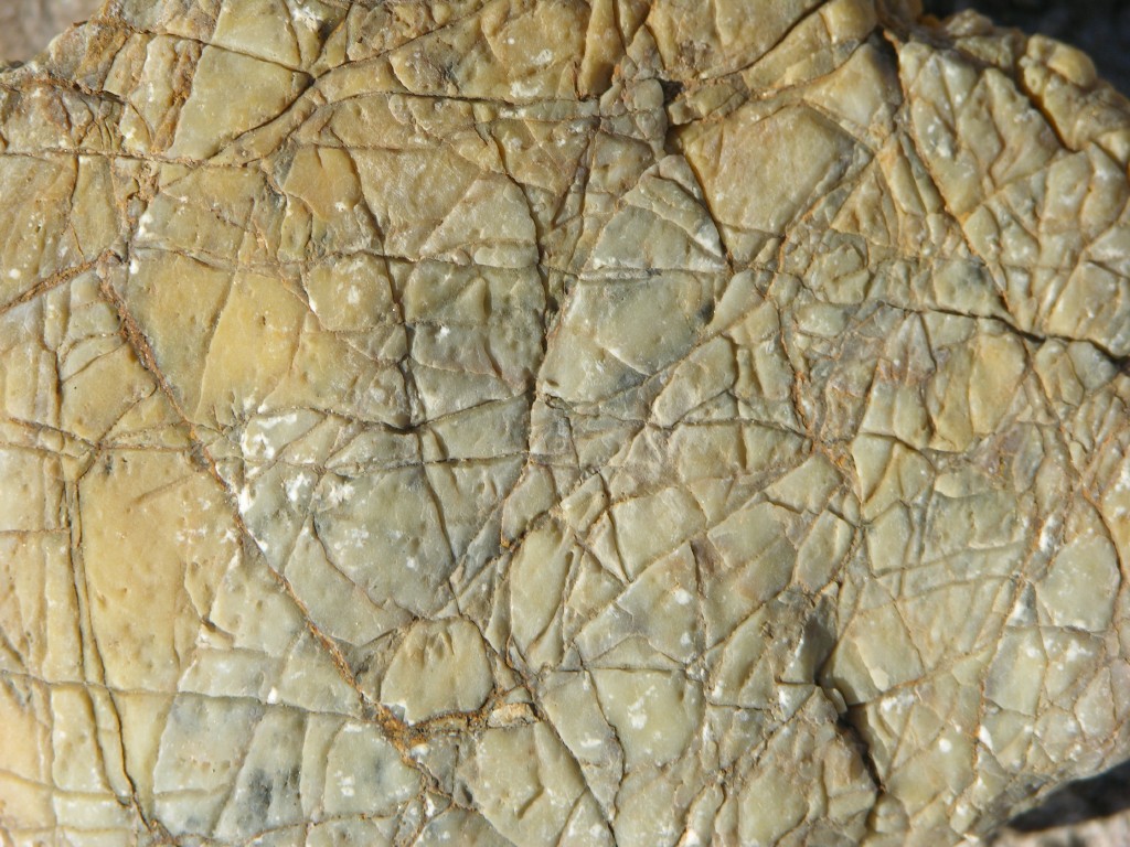 dscn2482.jpg