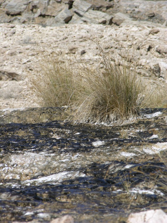 dscn2483.jpg