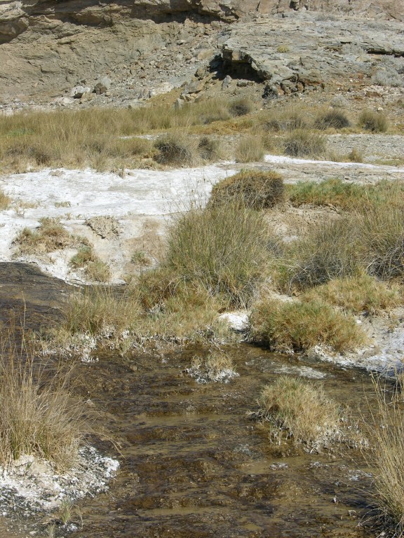 dscn2484.jpg
