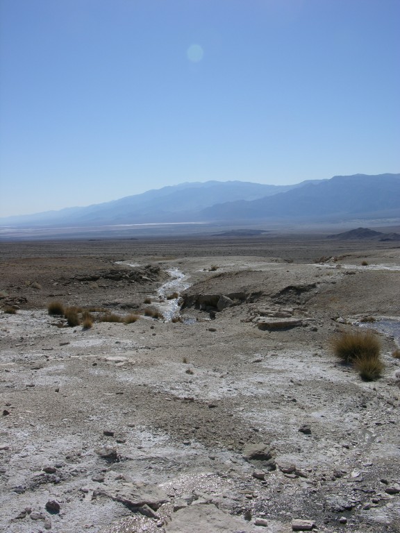 dscn2485.jpg