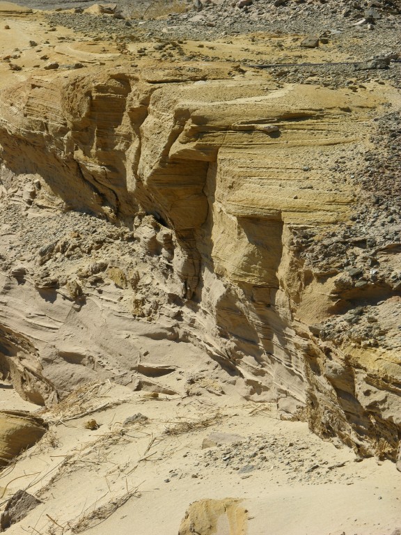 dscn2487.jpg