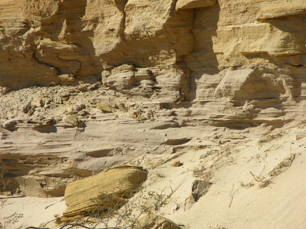 dscn2489.jpg