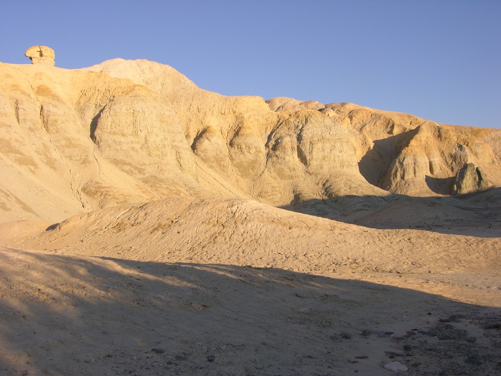 dscn2495.jpg