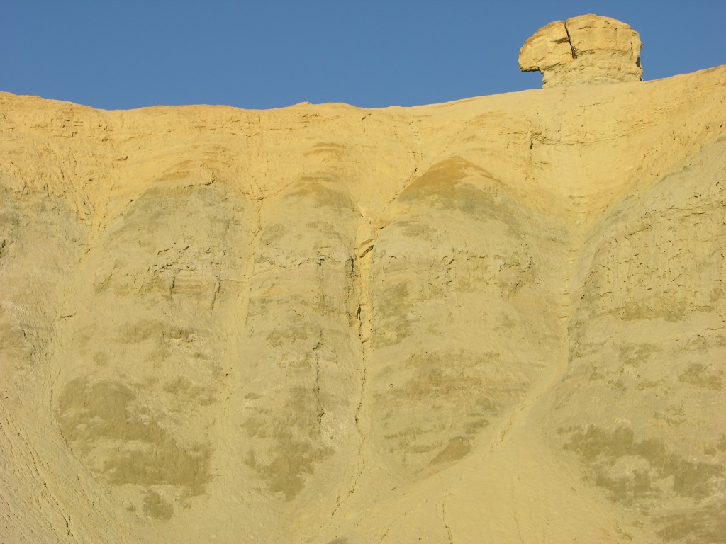 dscn2497.jpg
