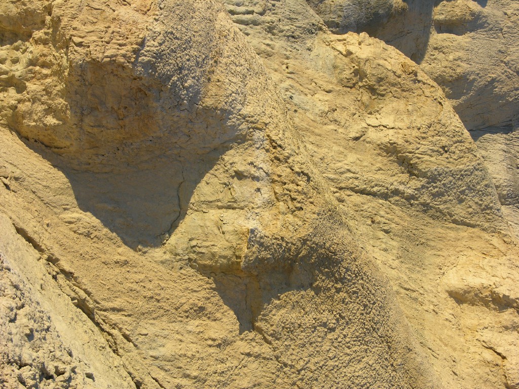 dscn2499.jpg