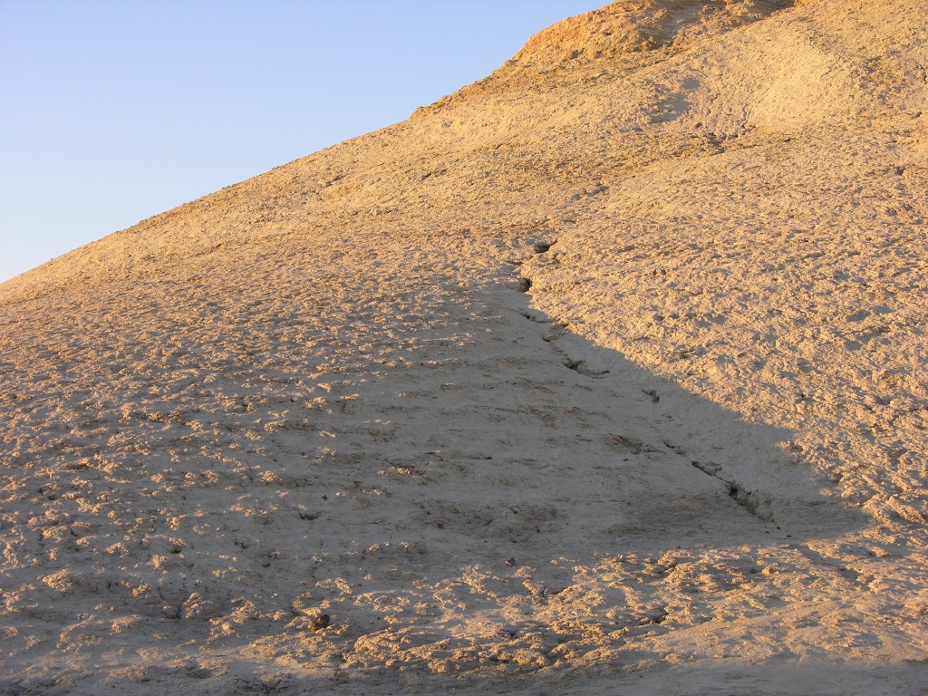 dscn2509.jpg