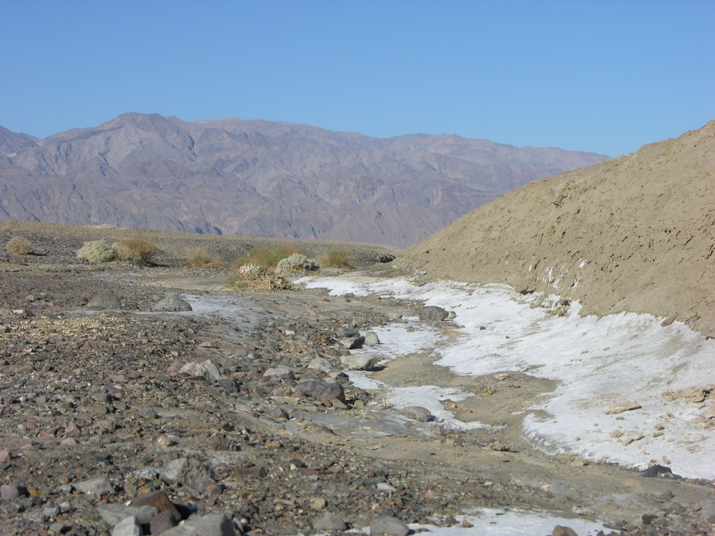 dscn2511.jpg