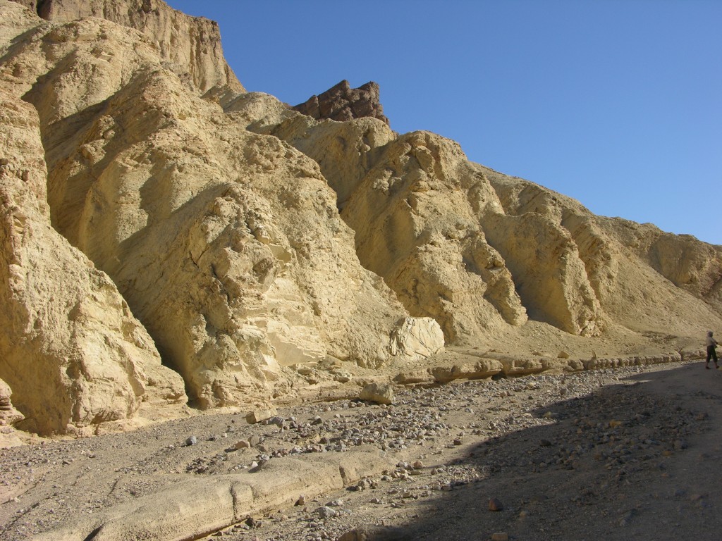 dscn2515.jpg